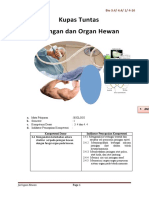 UKBM Bio 3.4 4.4 1 4-16 - Jarhew