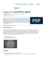 Isquemia Mesentérica Aguda - Trastornos Gastrointestinales - Manual MSD Versión para Profesionales