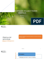 Presentación 2 (Citología Vegetal)