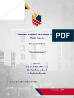 Proyecto Final de Fisica