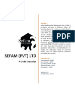 Sefam Case Study Solution Ratio Analysis