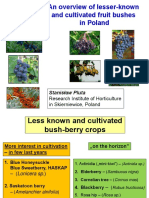 Dr. Pluta - Less Known and Cultivated Crops - Berlin 20 03 2018 - Reduced