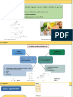 2.3.4 Lípidos 28 06 2022