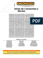 Sopa de Letras de Lisosomas y Núcleo