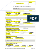 Formulario de Categorizacion