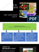 Reproduction in Plants