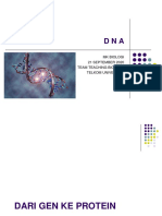 DNA] Menyimpan Informasi Genetik