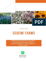 Catalogo Flores de Verano SEDEMI FARMS (1)