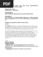  text generic structure of descriptive text are descriptive writng