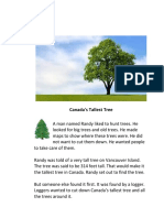 Discovering Canada's Tallest Tree
