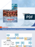 3 Carbohydrate Metabolism