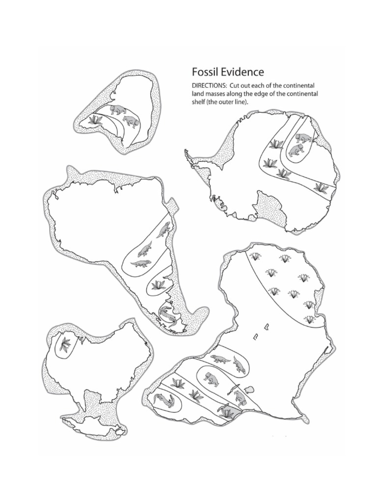 Fossil Evidence PDF