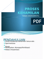 3proses Kehamilan