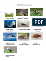 10 Gambar Hewan Dan Latinnya