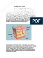 Anatomia y Fisiologia de La Piel