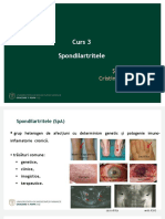 Curs 3. SpA Axiale