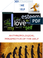 Anthropological Perspective 