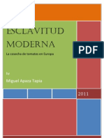 Esclavitud Moderna: Cosecha de Tomates en Europa by Miguel Apaza Tapia