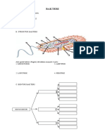 BAB 4 - BAKTERI - LKS