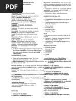 Resumo de Teoria de Vôo (PP)