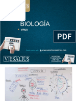 Sem 07 Biología Pi.pdf