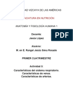 ADA 3 Caraterísticas Del Sistema Pulmonar, Venas y Arterias