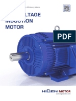 Low Voltage Motor