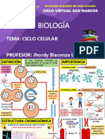 Biología - Ciclo Celular - Semestral SM