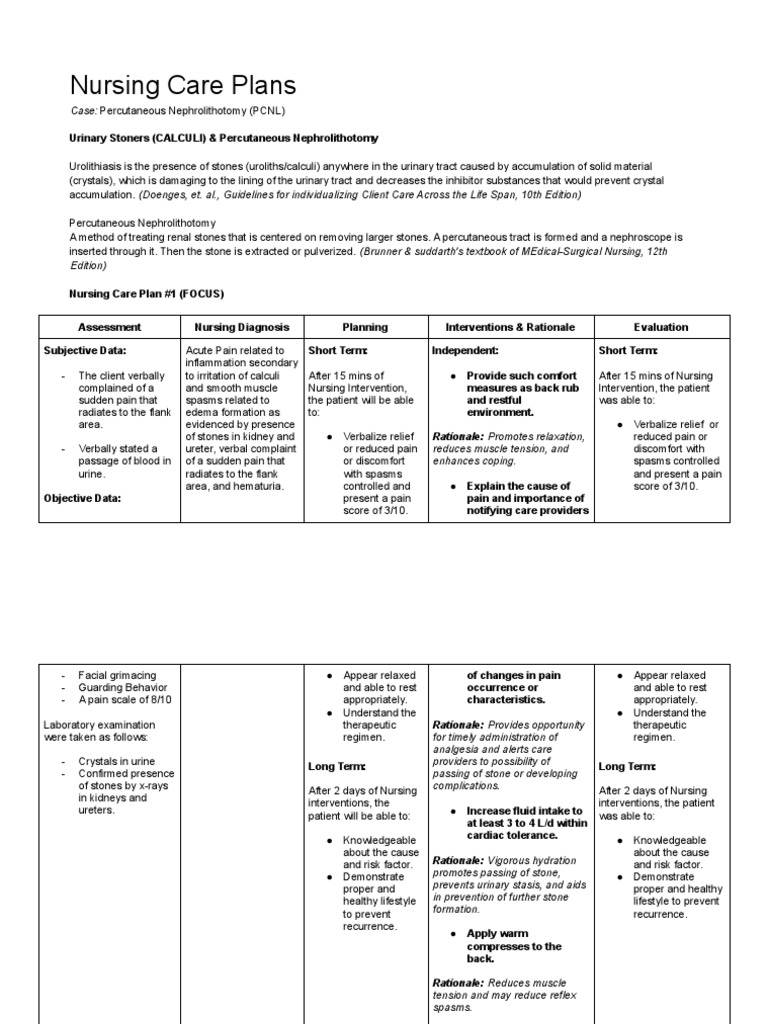 PCNL Nursing Care Plan 2 | PDF | Urinary System | Urination