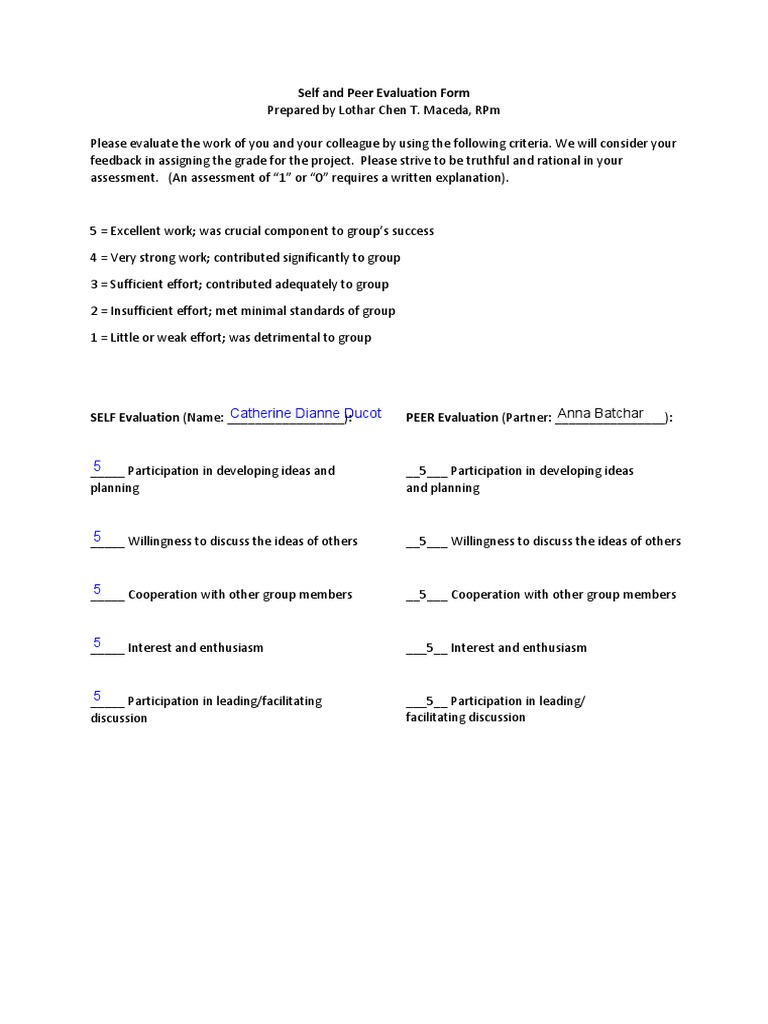 Self and Peer Evaluation DUCOT | PDF