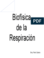 Biofisica Respiratorio