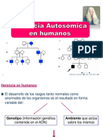 T4 - Herencia Autosómica en Humanos 2022