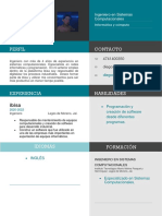 Curriculum Vitae