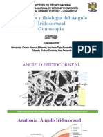 Anatomía y Fisiología Del Ángulo Iridocorneal