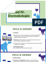 Unidad_IV_dermatologia