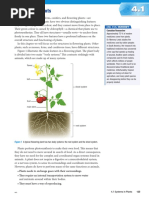 Sp10 - c04!4!1 Systems in Plants