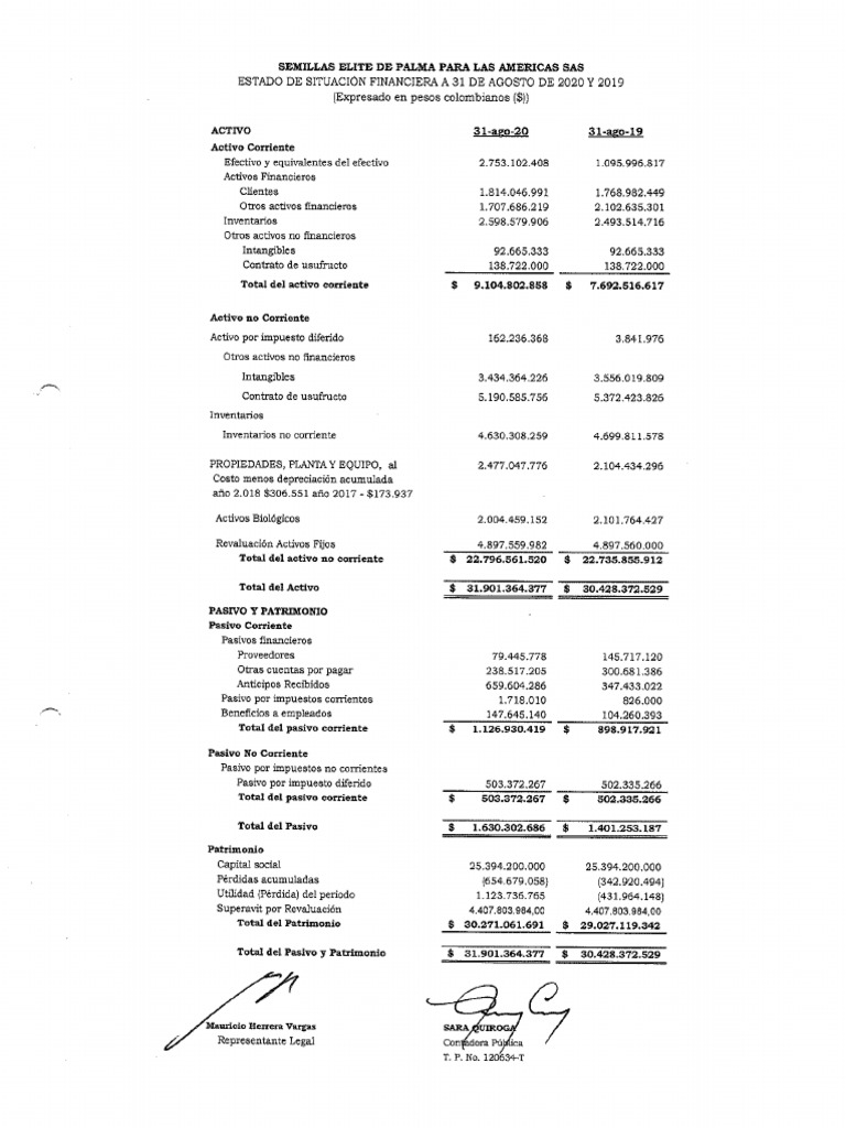 Estados financieros 2019 2020 pdf