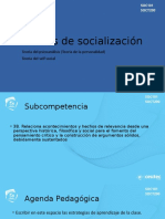 Teorías de Socialización