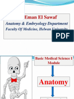 4 - Embryology Lecture 4 (Week 2 of Development A)
