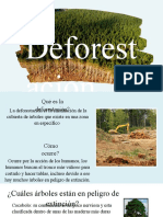 Copia de Deforestacion
