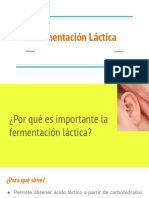 Fermentación Láctica