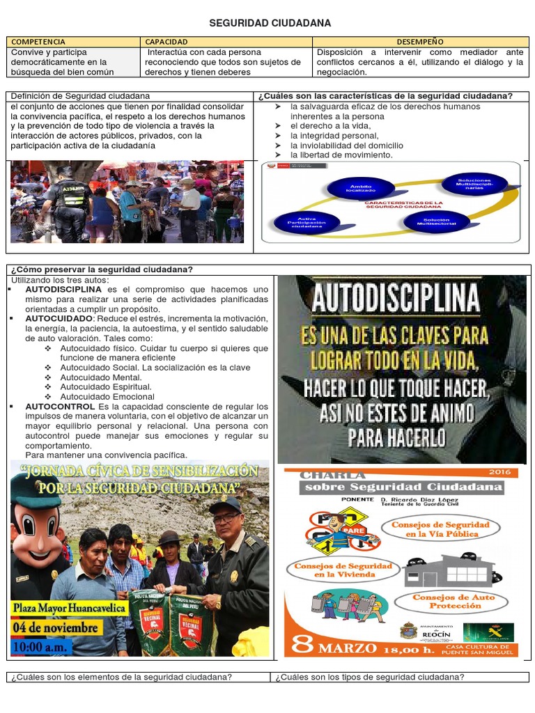 Importancia de la Seguridad Ciudadana | PDF
