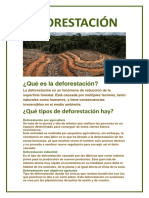 DEFORESTACIÓN