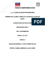 Conclusión de Neurotransmisores