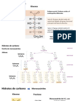 HIdratos de Carbono