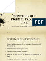 01 Los Principios Del Proceso Civil