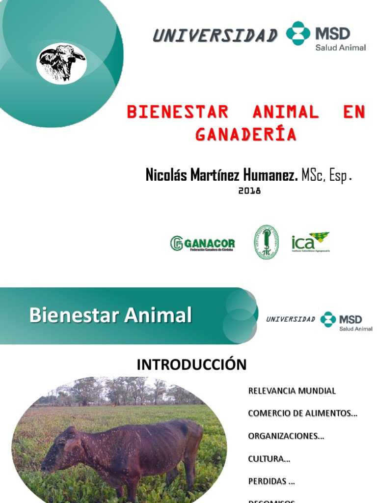 Bienestar Animal 2020 Ok | PDF | Estrés (biología) | Bienestar de los ...