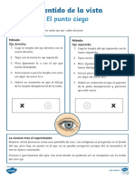 es2-sc-142-experimento-de-ciencias-el-punto-ciego-la-vista_ver_2