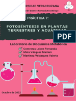 Portada de Practicas