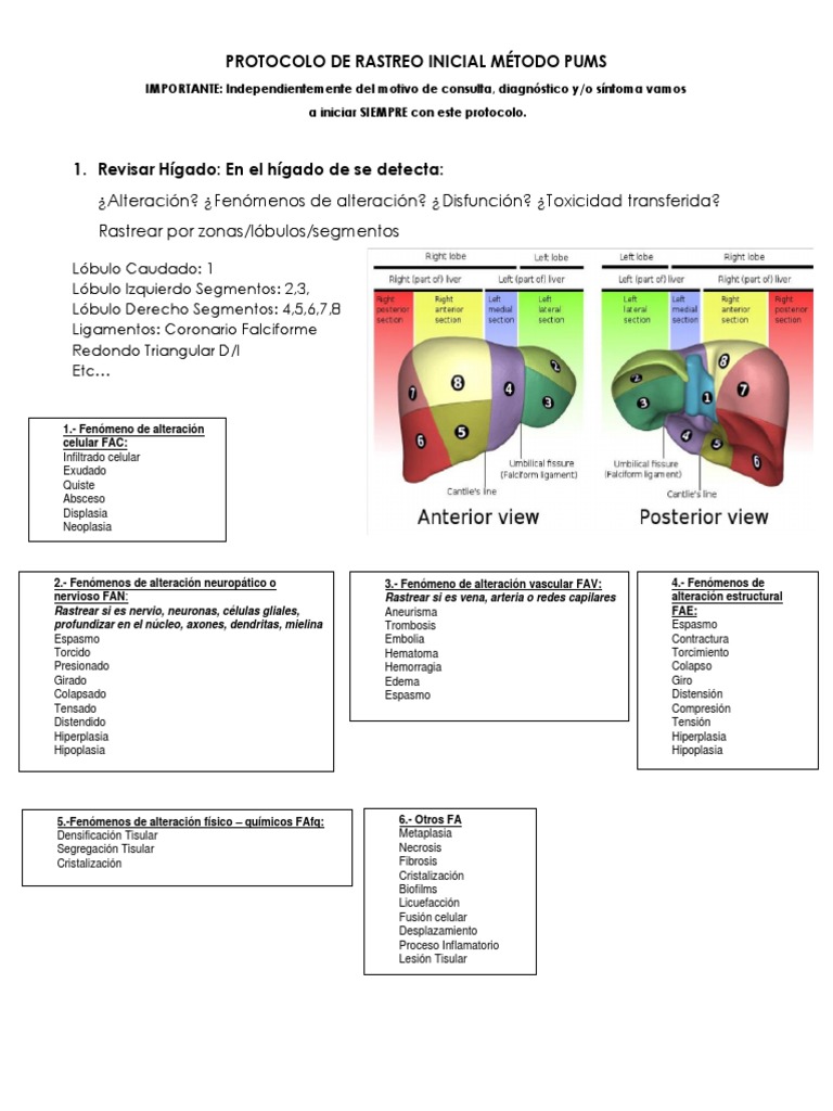 Protocolo Inicial Método PUMS | PDF | Hipotálamo | Neurociencia